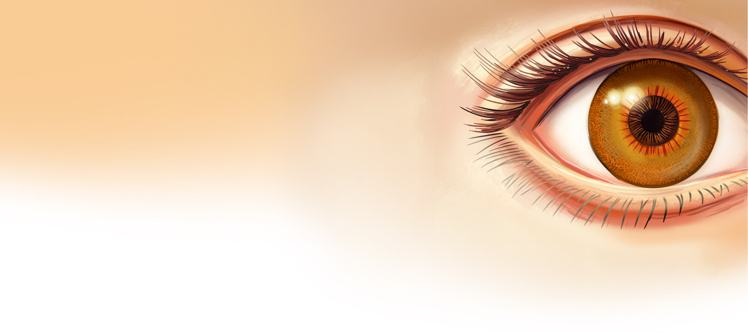close up of illustrated brown eye with eyelids and eyelashes