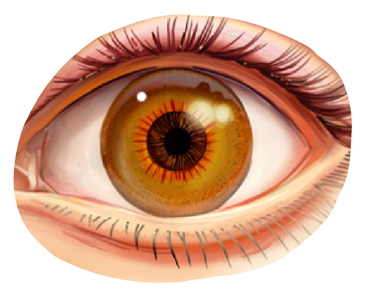 Close up of an eye